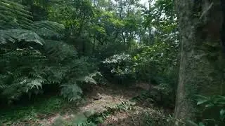 Super Speed Racing Master Drone FPV Freestyle with Raw Video Output   Breathtaking Cinematic Scenery