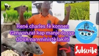 Ren&eacute; Charles f&egrave; konnen gen yn Rat kap manje Dosye ODVA nan minist&egrave; lakilti !!!