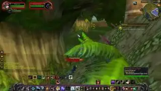 Tiger Stalking