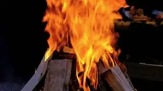 Feu de Chemin&eacute;e Relaxant - 1 HEURE - Cr&eacute;pitement R&eacute;aliste pour Dormir, &Eacute;tudier, Se D&eacute;tendre