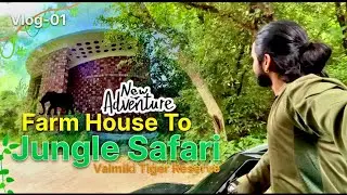 Safari Launge Jungle Resort || Jungle Safari