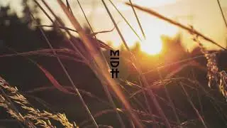 Aaaron & Deckert feat. Meggy - Shadows (Sobek Edition) MIDH Premiere