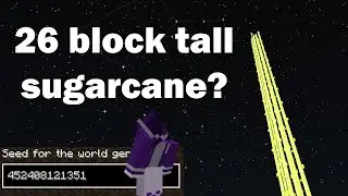 Funny FAKE Minecraft Anomalies
