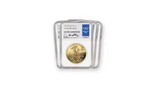 Buy Gold - 2020 Gold American Eagle Set Proof 70