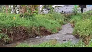 sungai tepi sawah dan jalan desa 🌷🌷( relaxation )