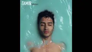 Tamir - Let us Fly