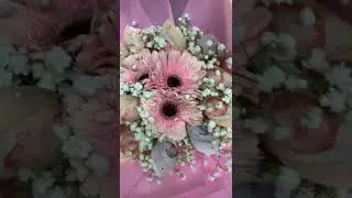 Daisy Gerbera money | Huamama fresh flower bouquet | Singapore flower delivery | Flower shop