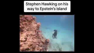 Stephen Hawking on his way to Epstein's Island