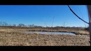 Small pond