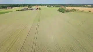 #PandaFPV - Maiden ERA 5.5 DC o4 pro