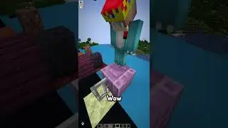 Minecraft Dimension Telepathy 6