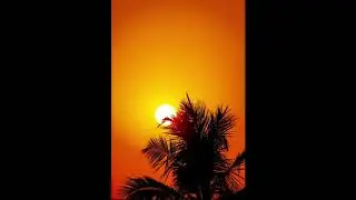 Reggae Dub Style Backing Track in C minor (Cm)