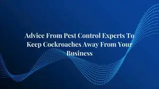 Advice From Pest Control Experts To Keep Cockroaches Away From Your Business | Armour Pest Control