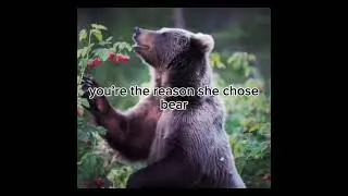 BEAR I CHOOSE BEAR. #womenempowerment #women #womenrights