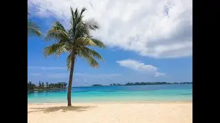 Escape to Paradise: Why the Bahamas Should Be Your Next Trip! 🏝️✨