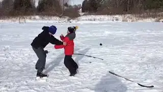 Fake hockey fight