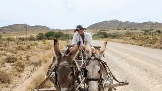 The Reality of Traveling With Donkeys