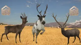 TheHunter: COTW PS5 Diamond and rare highlights #26