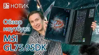 Подробный обзор ноутбука MSI GL75 9SDK - высока ли цена победы?