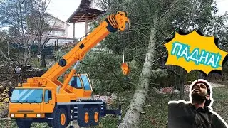 ДЪРВО падна ВЪРХУ покрива на КОМШИЯТА!
