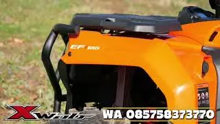 🔥 ATV GAGAH MASUK! 🔥🏍️ X-WOLF 300cc💪 300cc GARDAN🕹️ AUTOMATIC | HIGH–LOW