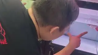 Tham quan có rồng Việt Nam