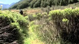 TRIALS OF THE TAKAHE