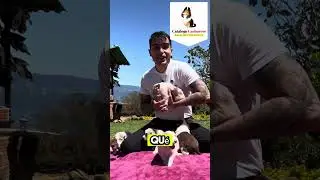 Presentación camada Australian Shepherd.