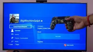 How to Cancel Friend Request on PS4 or PS Pro Console?