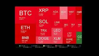 Live Coin Price Watch!