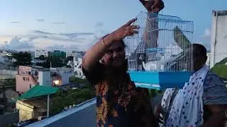 Every one deserves freedom//so i did it this job//for free