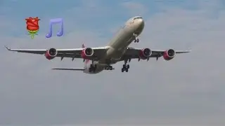 🎵**Autumn Morning CLOSE UP Arrivals** (🎵✈️Music Video)RW09L  London Heathrow (LHR)✈️