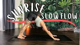 Sunrise Slow Flow | Simple Morning Movement | 20 min Yoga Practice