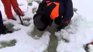 Практика
