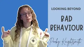 Looking Beyond Bad Behaviour