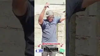 MR MAGIC STEPPER