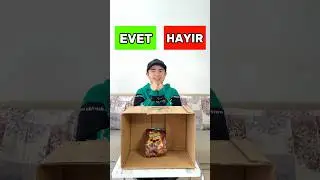 Evet mi Hayır mı !?