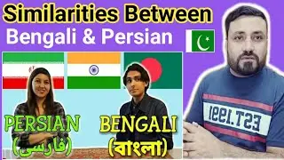 Pakistani Reaction ON | Similarities Between Bengali and Persian
