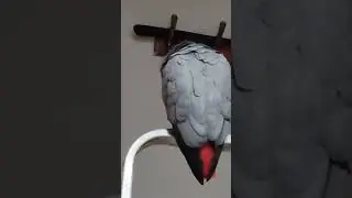 Отвернулась и ведет разговоры