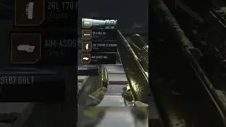 The Only SP-R 208 you need! (MW2)