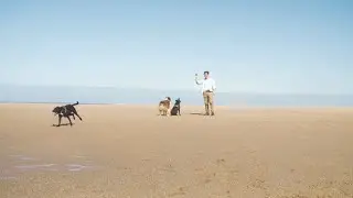 PET CARE | VOICE AI