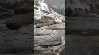 #salem #yercaud #trending #yercaudtourism #travel #nature #yercaudlake