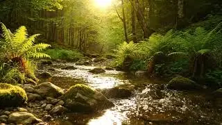 Relaxing River Stream ASMR for Better Sleep | Calm Nature Water Sounds