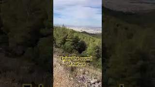 Hello Athens 🤩 ! Happy new week ! ✌️🌲🌲🌲