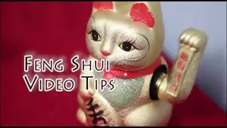 Feng Shui Manhattan Consultant Laura Cerrano Shares How to Select Good Feng Shui Plants