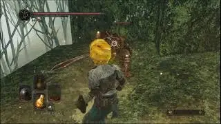 Getting to Aldia's Keep with no King's Ring in Dark Souls 2 SotFS