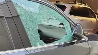 One-day Oakland police operation yields 7 car burglary arrests