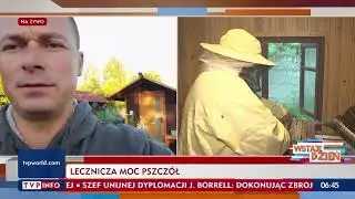Zdrowotna moc pszczół. Paweł Bartosiński, pszczelarz prowadzący uloterapię, gościem TVP Info 🐝