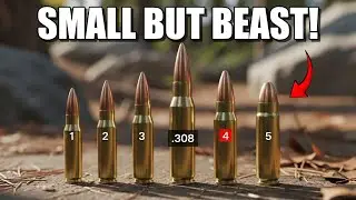 These 5 Small Calibers Absolutely Humiliate The .308