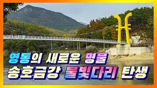 영동의 새로운 명물 - 송호금강 물빛다리 탄생